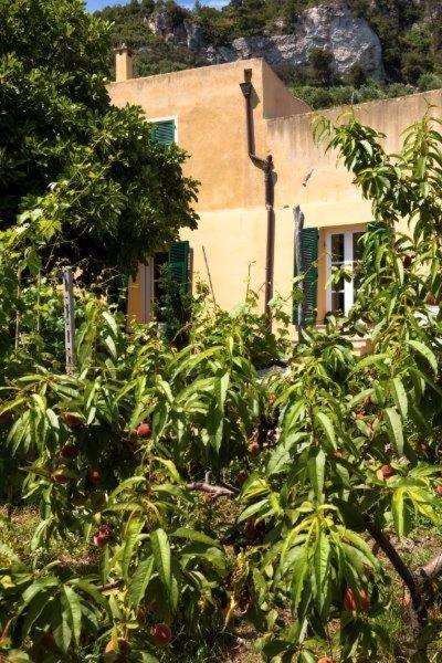 Agriturismo La Selva Финале Лигуре Екстериор снимка